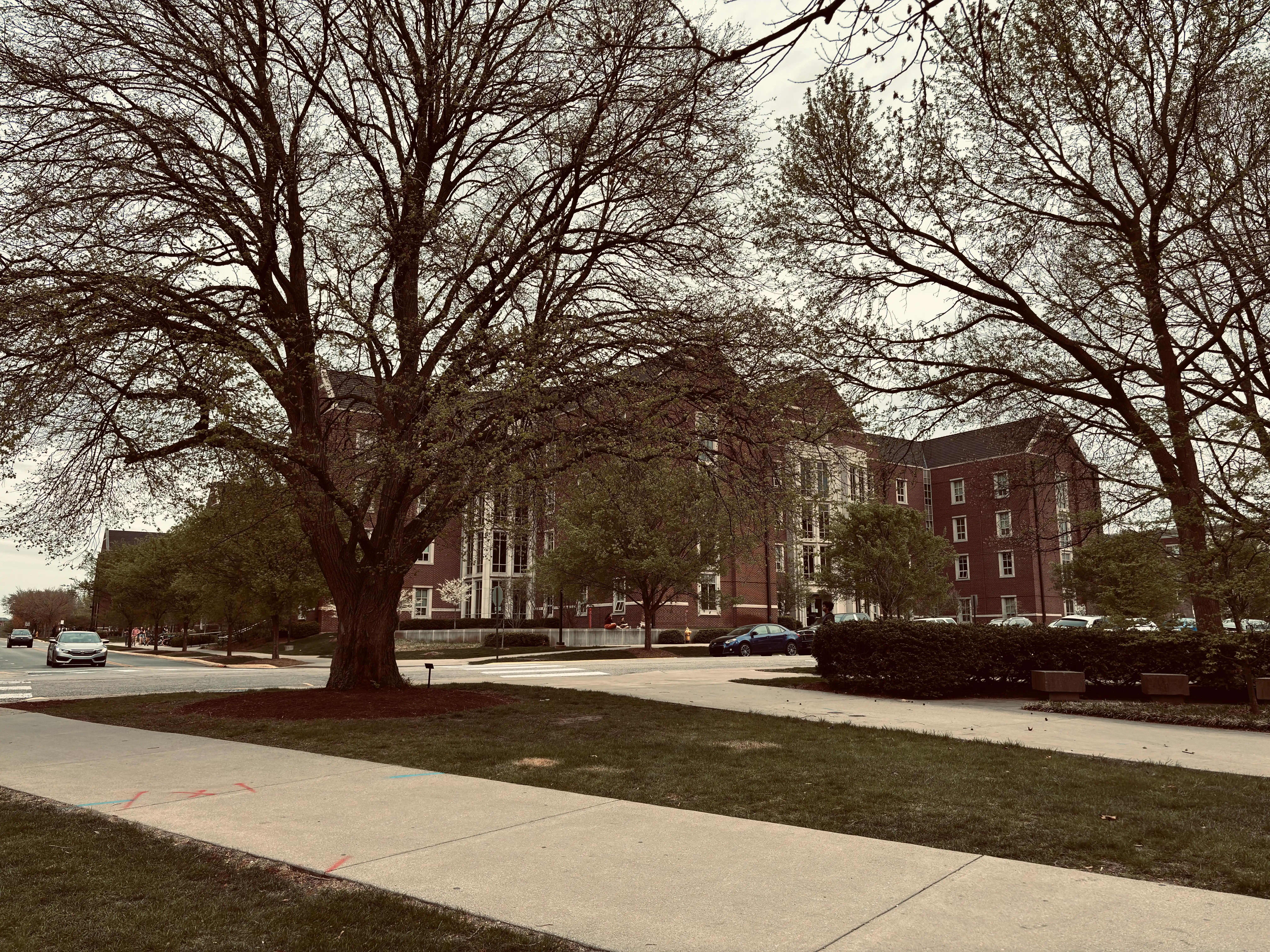 First Street Towers is seen from the intersection of First Street and MacArthur Drive. In the foreground, several trees are visible, behind which there are some trees partially obscuring the view of the East Building of First Street Towers.