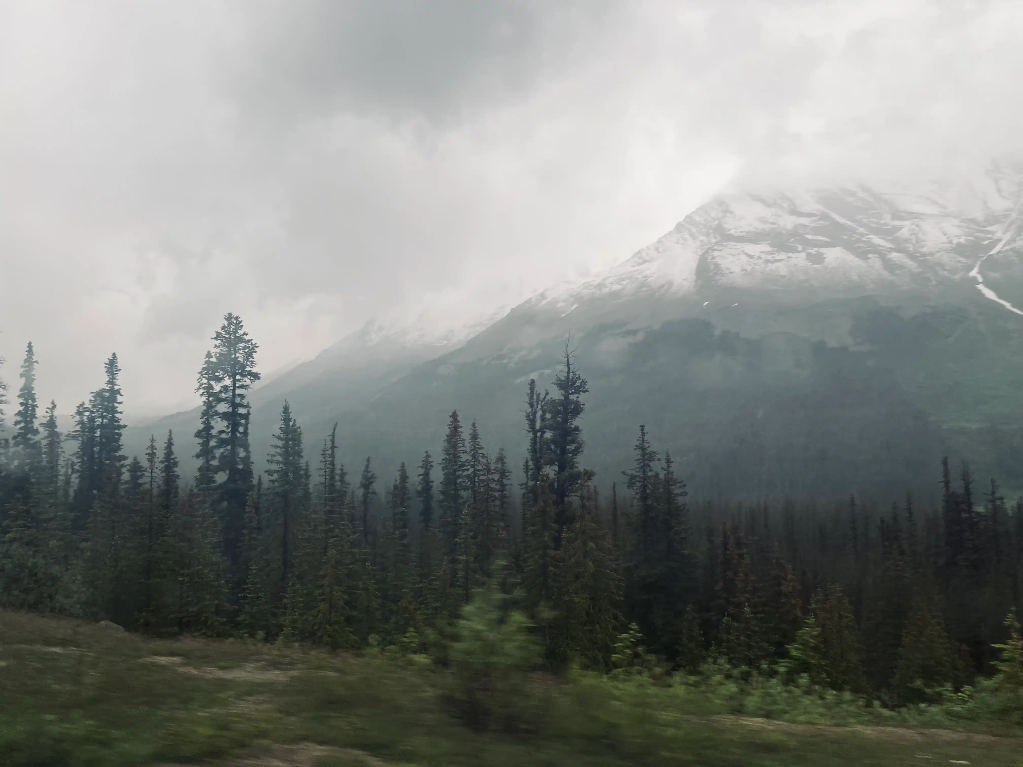 A mountain is seen in the background to the right, behind clouds which cover upper parts of the mountain partially; snow is visible at some elevation up the mountain. In the foreground, there are some evergreen trees to the left.