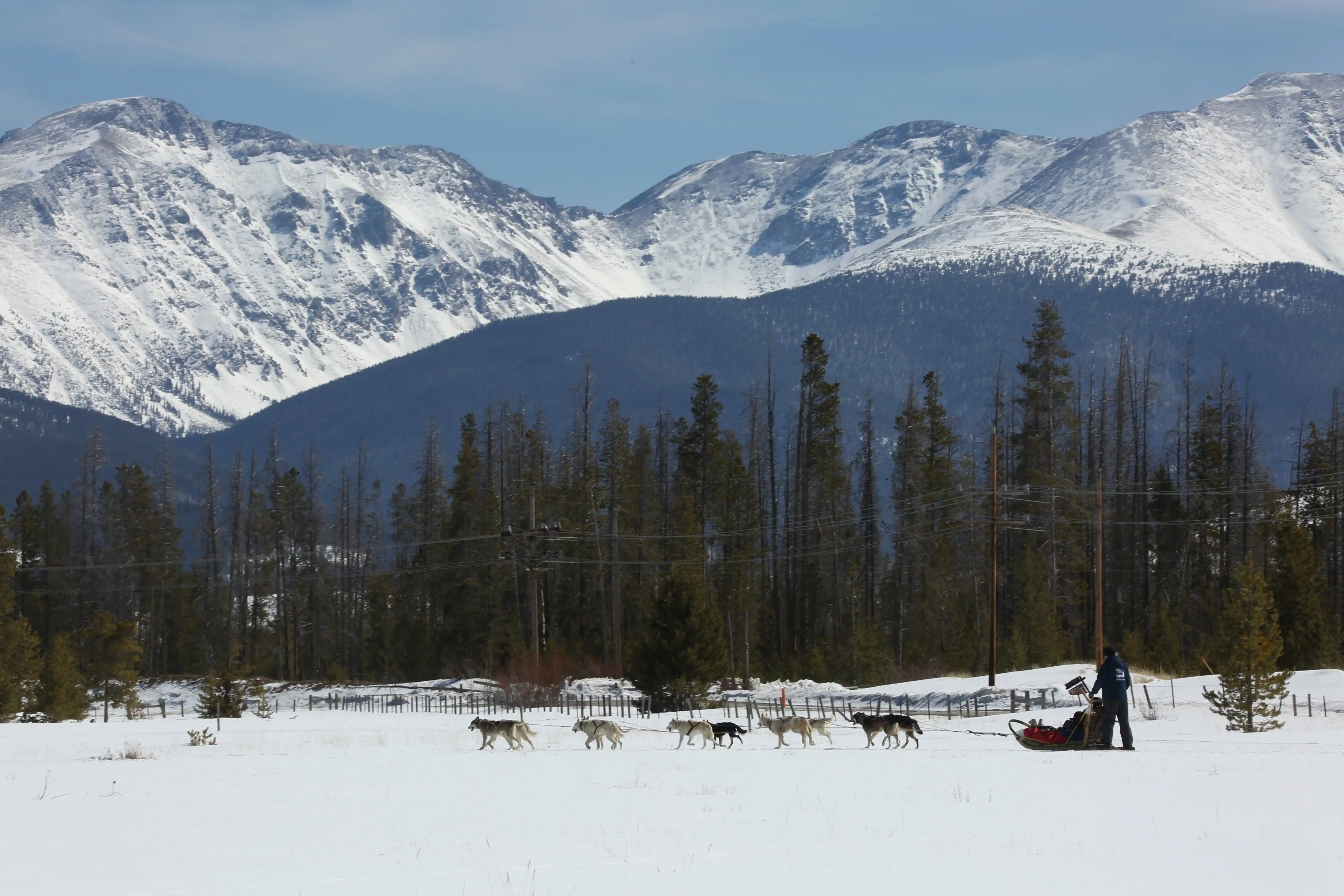 A sled driven by huskies is seen on white snow in the bottom third of the image, behind which one can see tall coniferous trees. In the background, there is a short forested mountain in front of several snow-capped peaks.